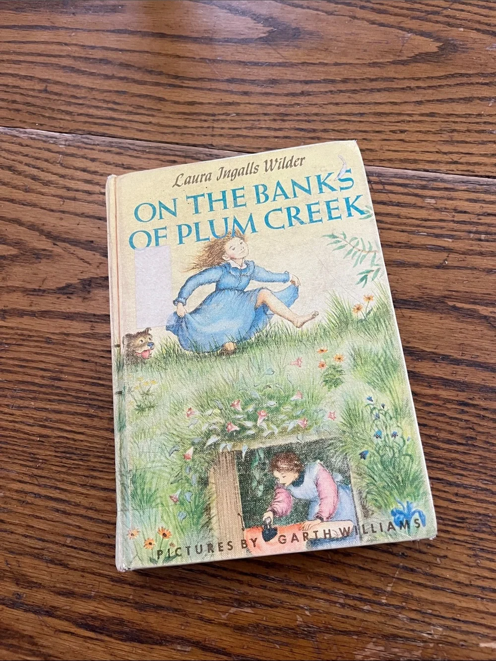 Vintage On the Banks of Plum Creek - Illustrated Hardcover